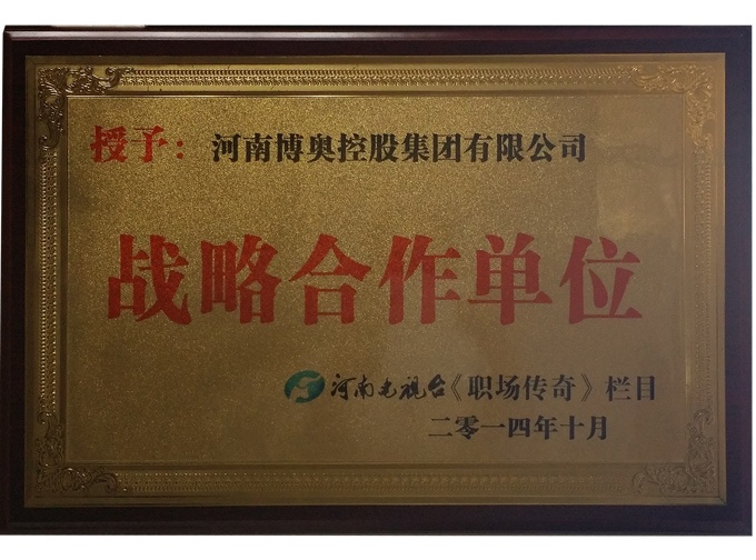 集团荣誉